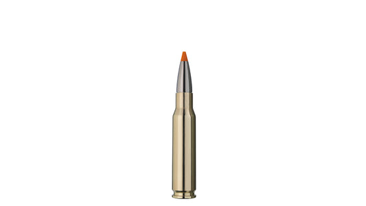 RWS .308 Win. HIT 10,7g/165gr - 20 Stk.