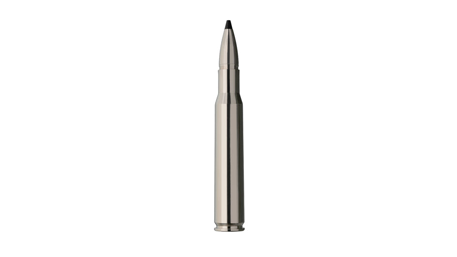 RWS .30-06 SPEED TIP PROFESSIONAL Short Rifle 10,7g/165gr