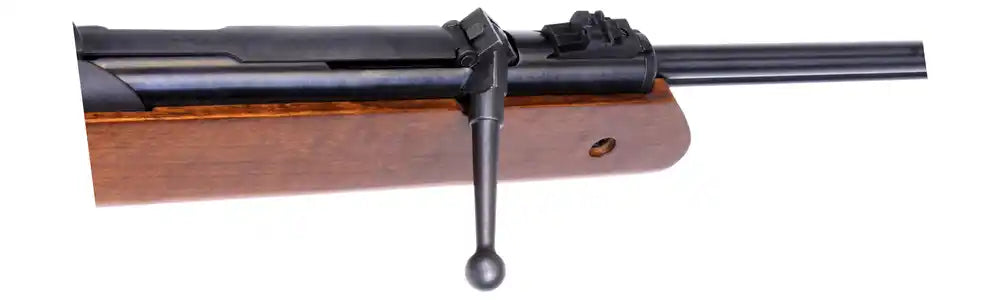 Diana Luftgewehr Oktoberfest