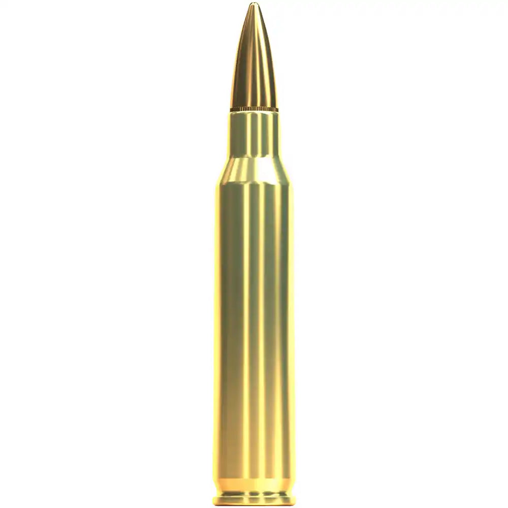 Sellier & Bellot .223 Rem. Vollmantel 4,5g/69grs. 100 Stk.