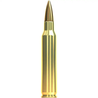 Sellier & Bellot .223 Rem. Vollmantel 4,5g/69grs. 100 Stk.